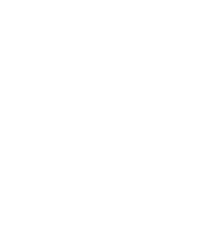 Carlton Dry